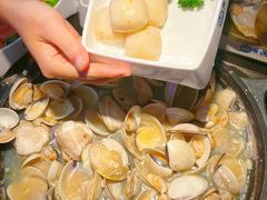 -水哥卜卜贝(东晓·胜汇里店)