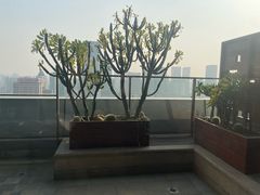 -富力丽思卡尔顿酒店·FLAIR餐厅酒吧