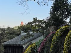 -惠山古镇·寄畅园