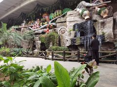 -南宫五洲植物乐园