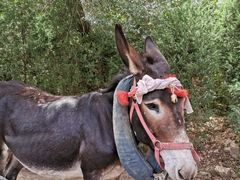 -梁家河村红色旅游区