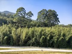 -广州市白云山风景名胜区