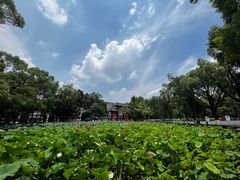 -四川大学(望江校区)