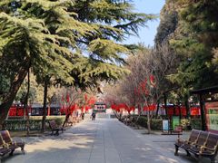 -荣国府