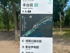 -绿堤公园