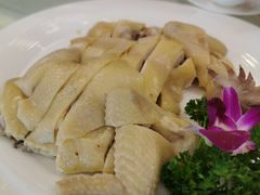 -黄埔华苑酒家(黄埔总店)