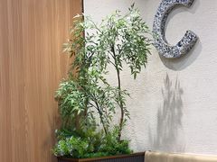 -霸王茶姬(正佳广场店)