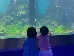 -石家庄海洋公园
