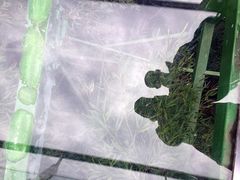 -陶祖圣境风景区