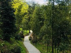 -藏龙百瀑风景区