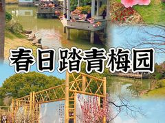 -无锡梅园公园