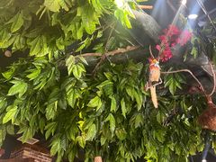 -草原塞蛮羊火锅城(港湾店)