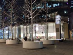 -Apple零售店(华贸购物中心店)