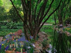 -上海共青森林公园