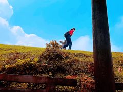 -大姆山草场