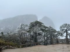 -黄山风景区