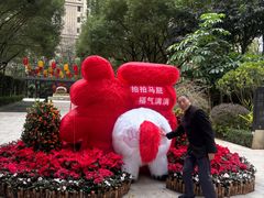 -灵玲国际马戏城