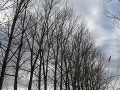 -东郊湿地公园