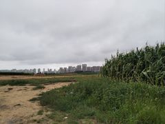 -东戴河风景区-止锚湾