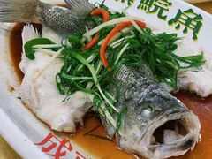 清蒸泉水鲩鱼-成惠食府(赤岗店)