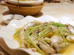 -大林苑世家精细潮州菜