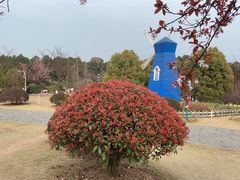 -铁山坪森林公园