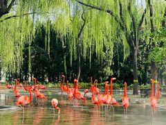 -石家庄市动物园