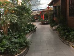 -森谷美食公园(杨行店)