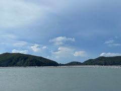 -忠义蚵仔煎