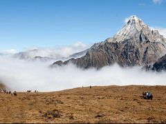 -贡嘎雪山