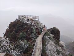 -金子山原生态旅游风景区