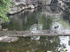-郭守敬纪念馆
