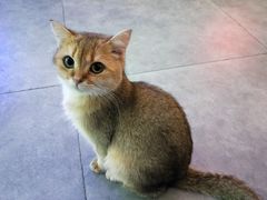 -极木²邸 人与宠物·互动社区