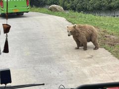 -西安秦岭野生动物园