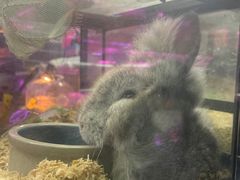 -花鸟鱼虫鲜花绿植市场(玉泉路店)