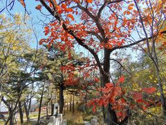 -阳台山自然风景区