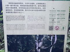 -莫里热带雨林景区