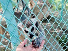 -水上乐园·欢乐世界