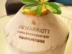 -三亚山海天JW万豪酒店