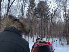 -亚布力新体委滑雪场