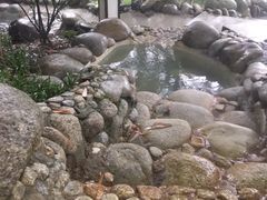 -三江森林温泉度假区