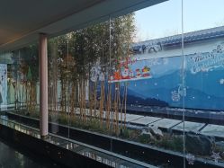 点击看大图 -爱儿美儿童摄影(朝阳公园店)