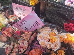 -溪岸路花鸟市场