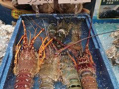 -蚝得喜海鲜(东城店)