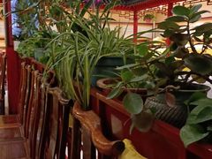 大堂-红红烤鸭店(西单店)