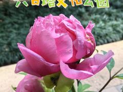 -六和塔文化公园