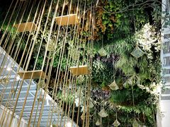 -潮粥荟·潮汕砂锅粥(朝阳大悦城店)