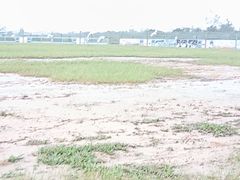 -盐城丹顶鹤湿地生态旅游区