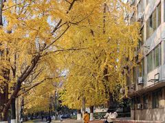 -四川大学(华西校区)