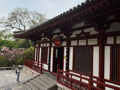 -华清宫景区
